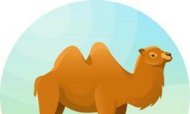 Путин будет свергнут в Год верблюда – астролог Павел глоба календарь зороастрийский год верблюда