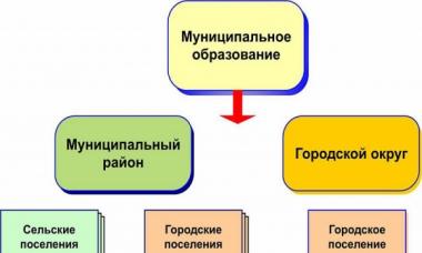 Реферат: Понятие и система органов местного самоуправления в Российской Федерации Права органов местного самоуправления